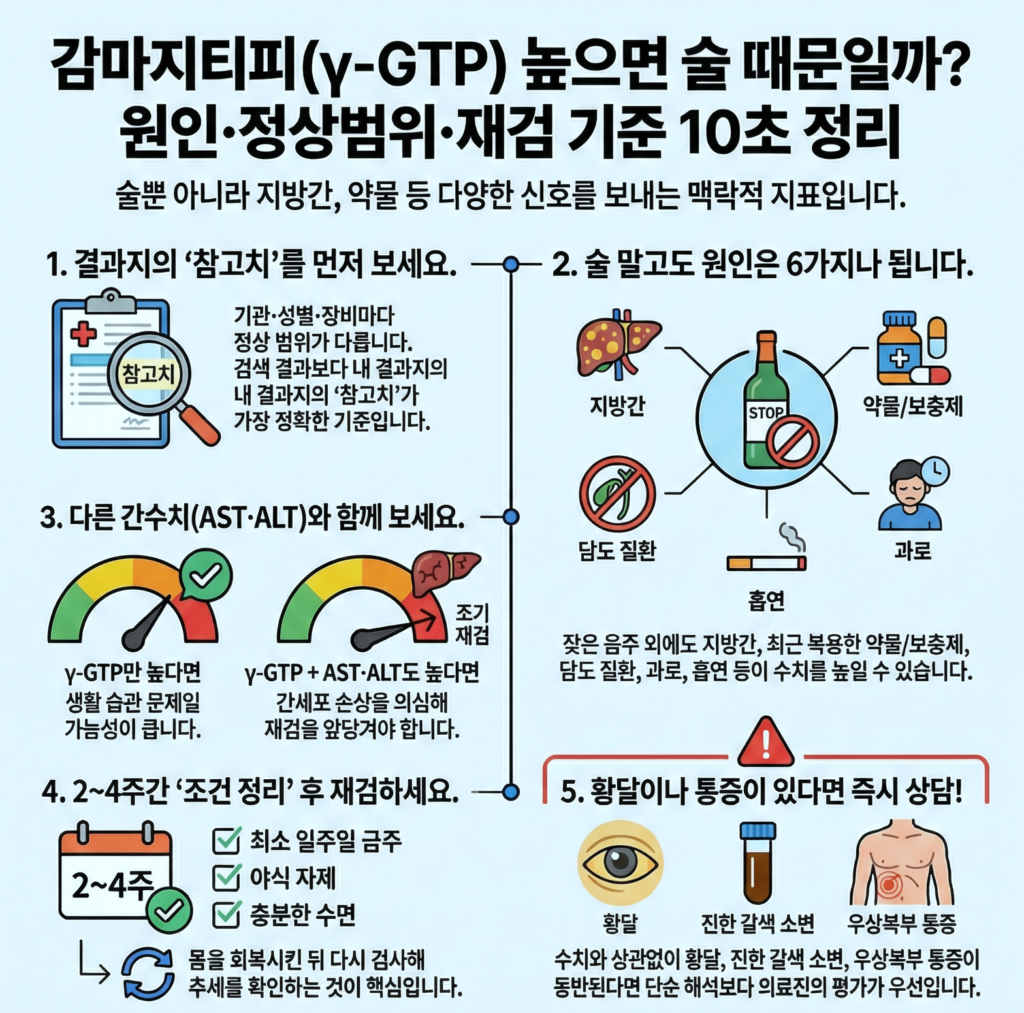 감마지티피 높으면 (γ-GTP) 꼭 술 때문일까? 정상수치·원인·재검 기준을 10초로 정리합니다.