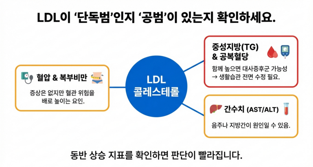 LDL이 단독 상승인지, TG·혈당·간수치 등과 동반 상승인지 먼저 확인하면 판단이 빨라집니다