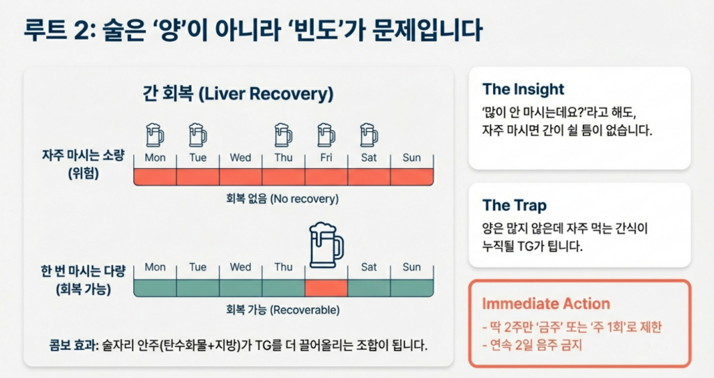 술은 양보다 ‘빈도’가 중성지방을 끌어올리는 경우가 많습니다