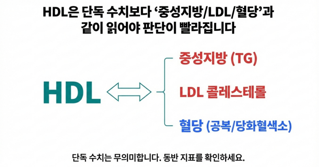 HDL은 중성지방, LDL, 혈당 수치와 함께 읽어야 정확한 판단이 가능합니다.