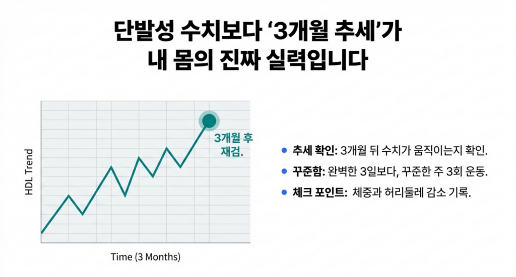 HDL 낮음은 ‘패턴 → 우선순위 → 3개월 추세’로 관리하면 훨씬 단순해집니다