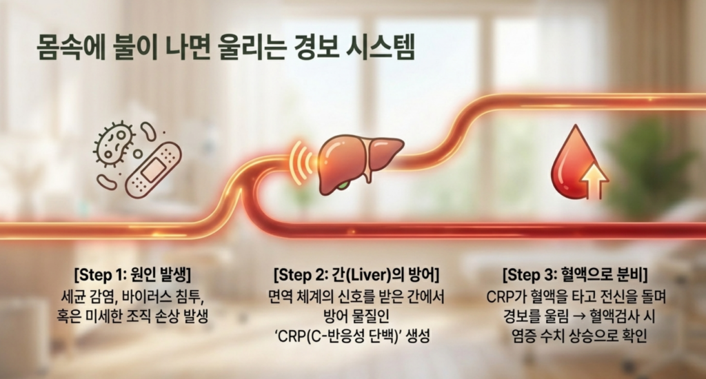 CRP 높음은 감염·염증이 가장 흔하지만, 반복 상승과 위험 신호가 붙으면 해석이 달라질 수 있습니다.