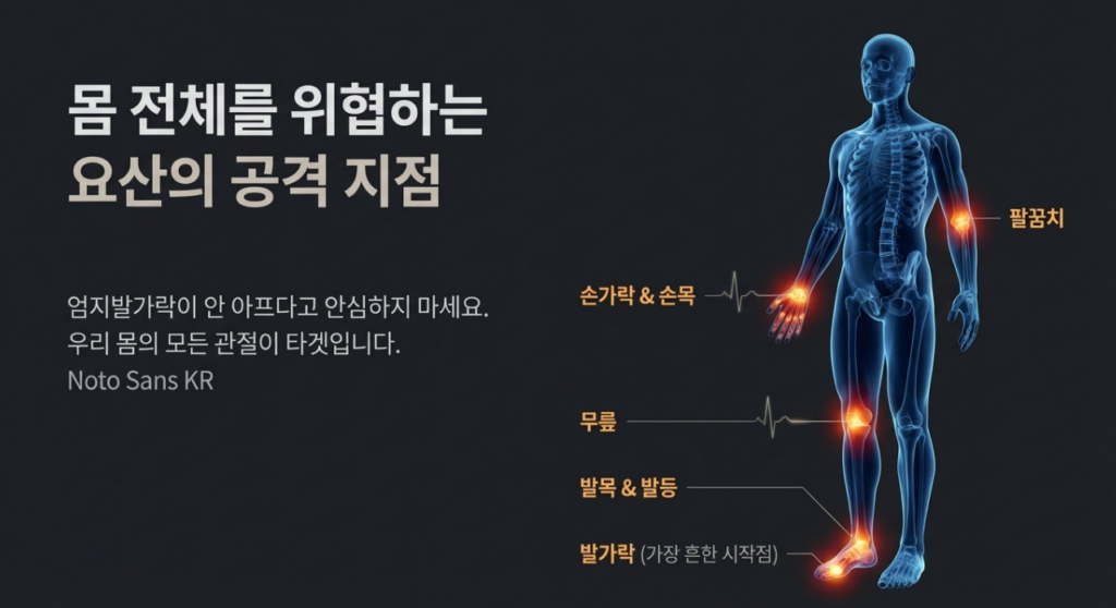 요산 수치 높음은 통풍 위험과 연결될 수 있지만, 실제 통풍 가능성은 증상과 반복 여부를 같이 볼 때 더 선명해집니다.