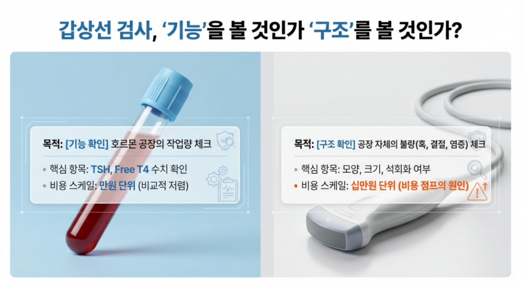 갑상선 피검사 비용은 피검사만 다시 보는지, 초음파까지 붙는지에 따라 체감이 꽤 달라집니다.